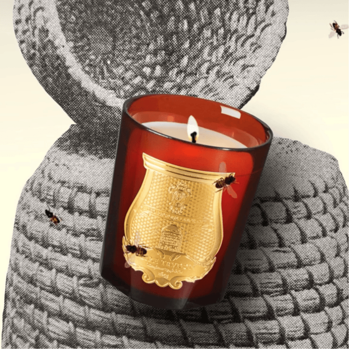 Trudon Cire Candle | 270g | Beeswax Absolute - Suzie Anderson Home