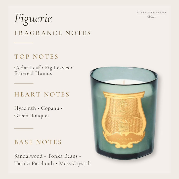 Trudon Classic Figuerie Candle | 270g | Royal Fig - Suzie Anderson Home