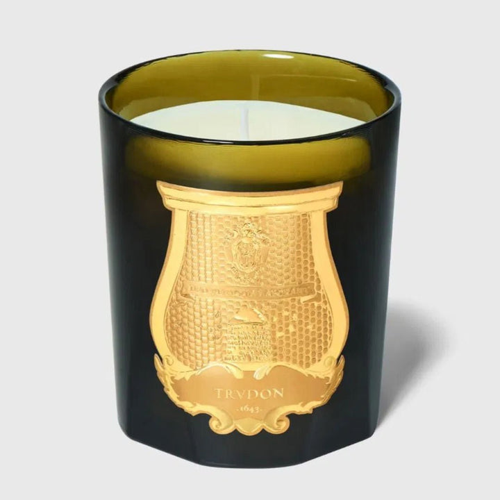 Trudon Ernesto Candle | 270g | Leather and Tobacco