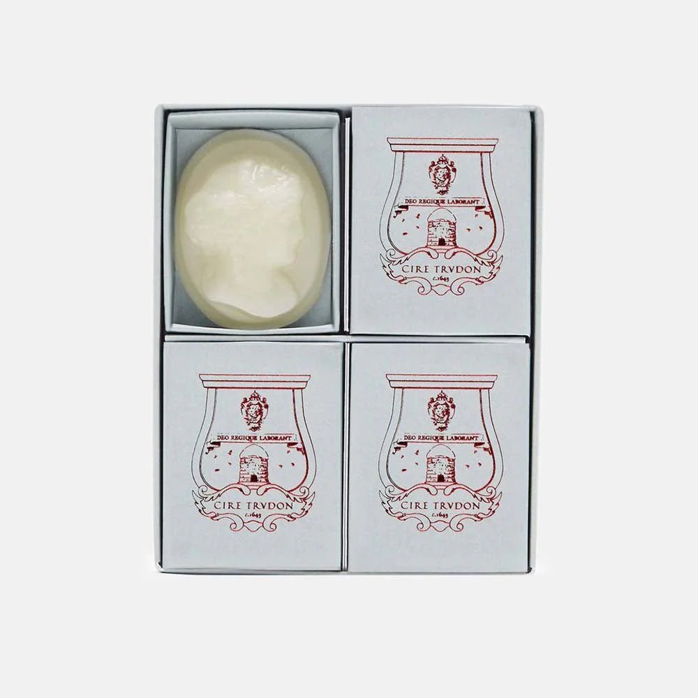 Trudon Gabriel Scented Cameos | 4 Pack | Gourmand Chimney Fire - Suzie Anderson Home