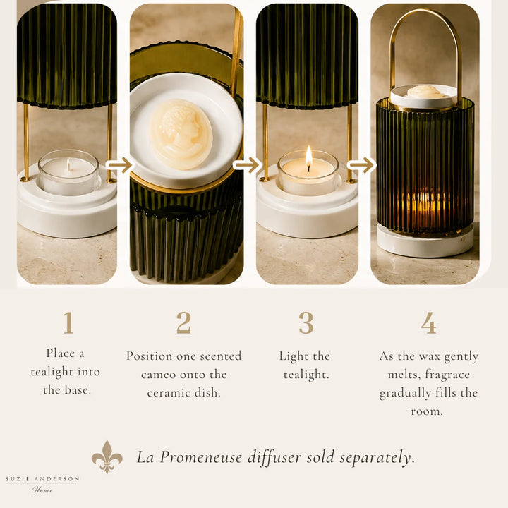 Cire Scented Cameos | 4 Pack | Beeswax Absolut