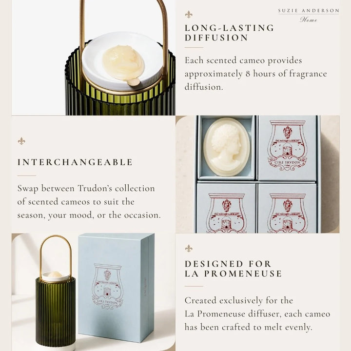 Cire Scented Cameos | 4 Pack | Beeswax Absolut