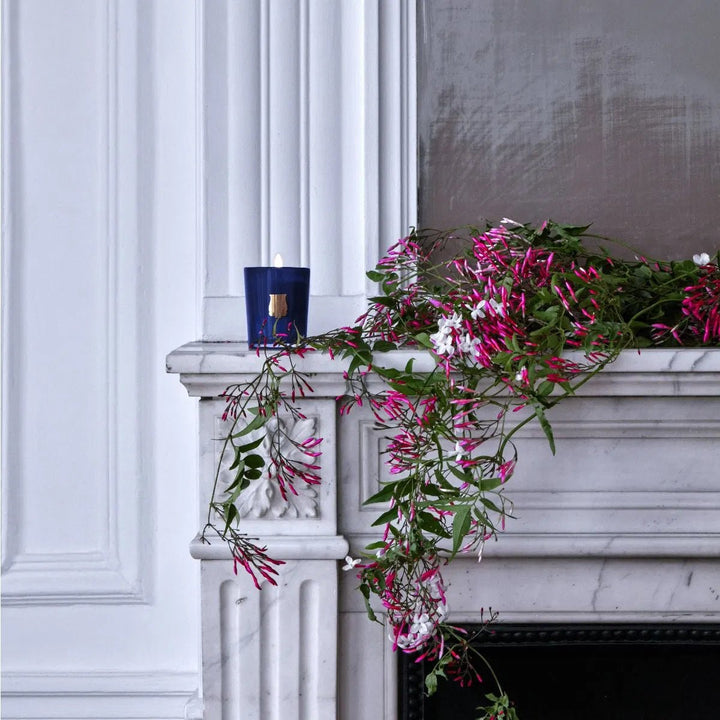 Trudon Madurai Candle | 270g | Splendour of Indian jasmine - Suzie Anderson Home