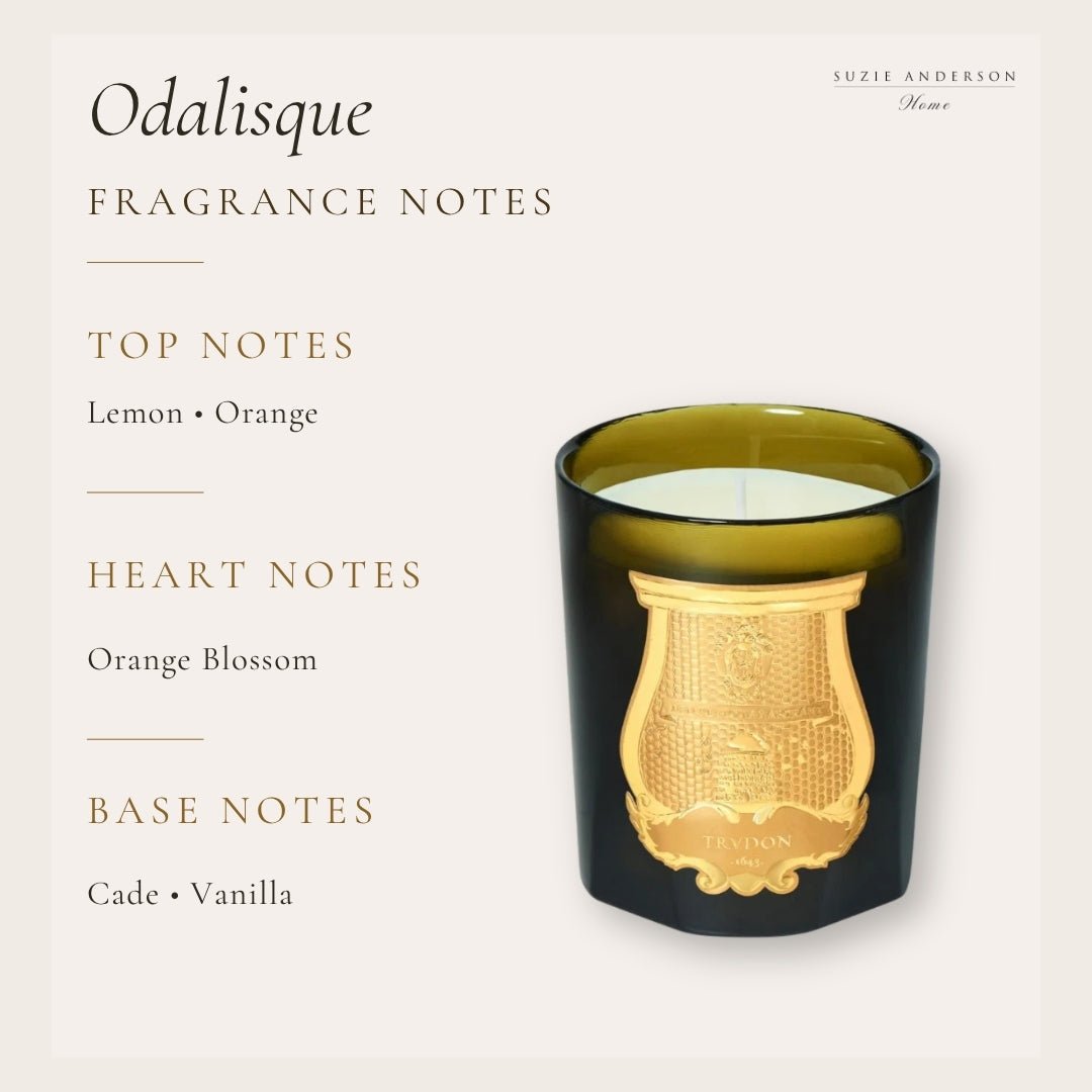 Trudon Odalisque Classic Candle | 270g | Orange Blossom - Suzie Anderson Home
