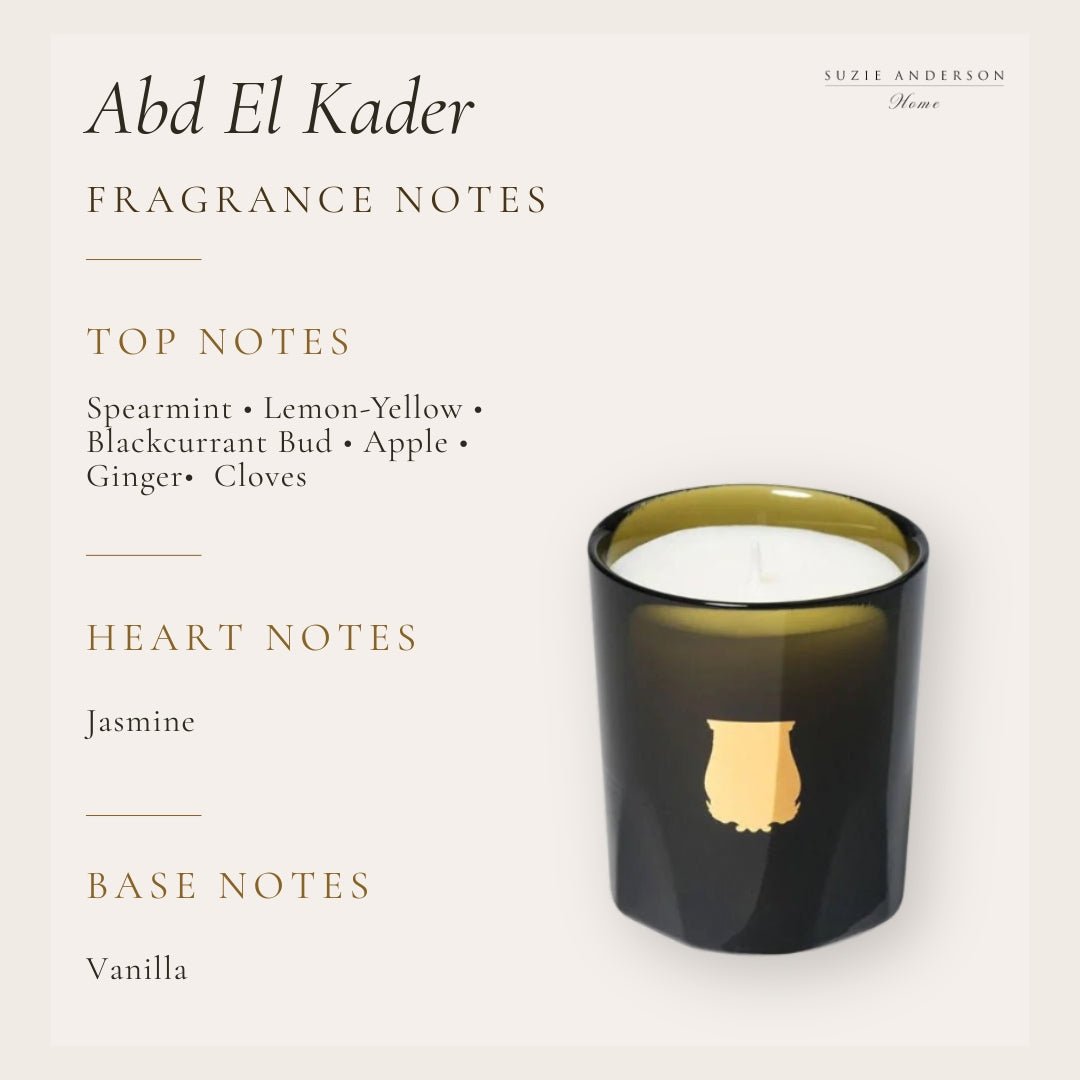 Trudon Petite Candle | Abd El Kader 70g | Moroccan Mint Tea - Suzie Anderson Home