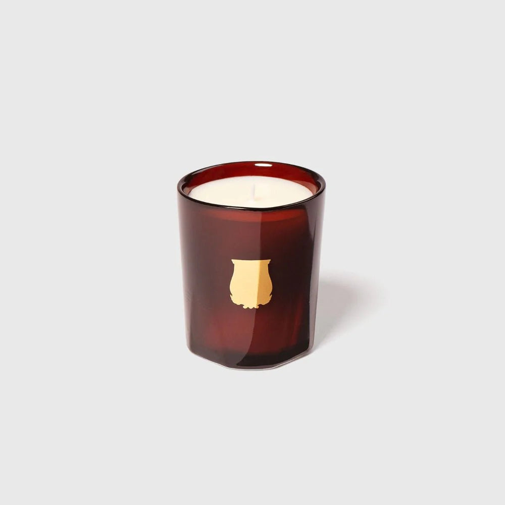 Trudon Petite Candle | Cire 70g | Beeswax Absolute - Suzie Anderson Home