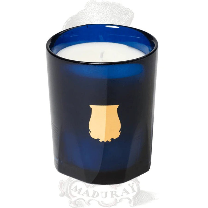 Trudon Petite Candle | Reggio 70g | Hint of citrus from Calabria - Suzie Anderson Home