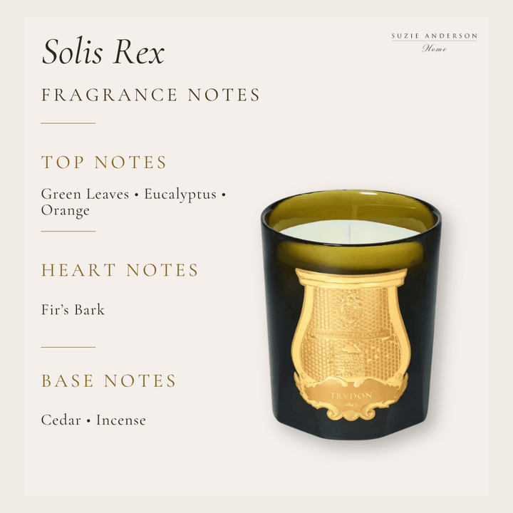 Trudon Solis Rex Classic Candle | 270g | Versailles Wooden Floors - Suzie Anderson Home