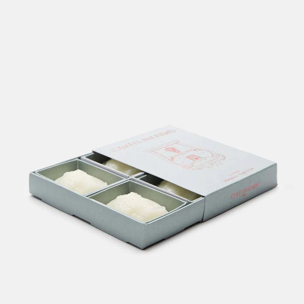 Trudon Gabriel Scented Cameos | 4 Pack | Gourmand Chimney Fire