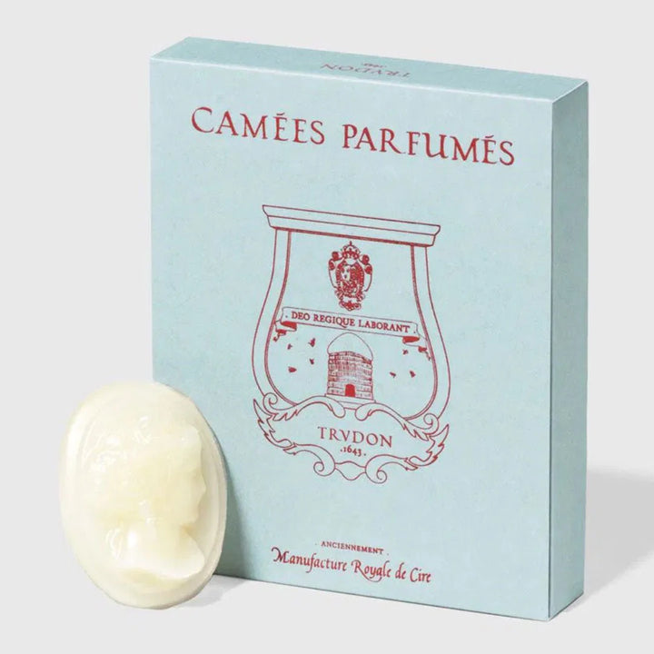 Trudon Gabriel Scented Cameos | 4 Pack | Gourmand Chimney Fire