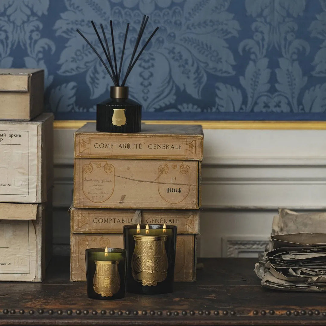 Trudon Cyrnos Candle | 270g |  Mediterranean aromas