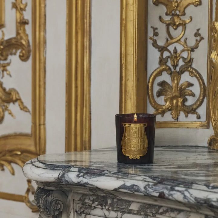 Trudon Solis Rex Candle | 270g |  Versailles Wooden Floors