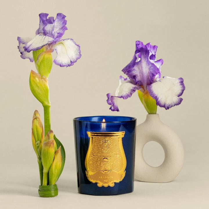 Cire Trudon Reggio Candle | 270g *NC