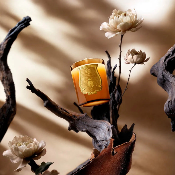 Trudon | Altair Great Candle 3kg