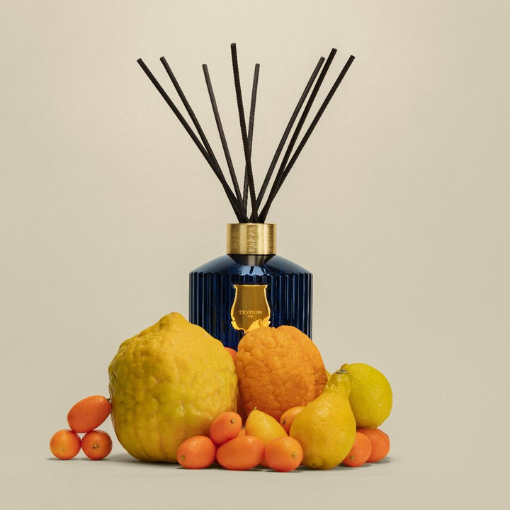 Trudon | Le Diffuseur Belles Matières | Reggio | 350ml | Hint of citrus from Calabria