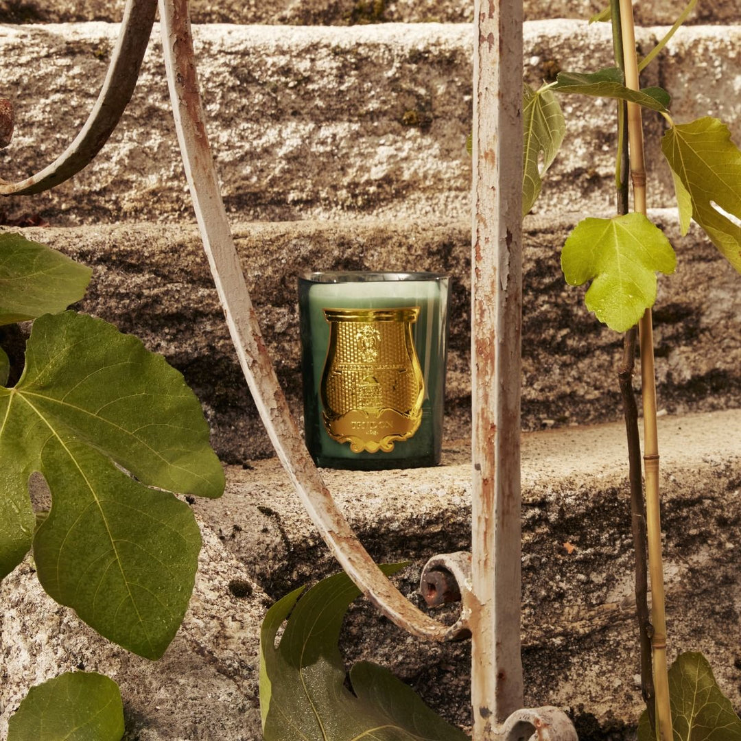 Trudon Intermezzo Figuerie Candle | 800g | Royal Fig