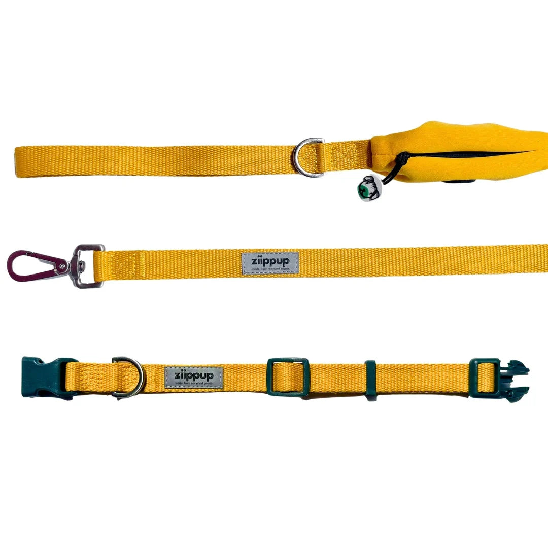 Ziippup | Dog Collar Yellow (BOWRAL)