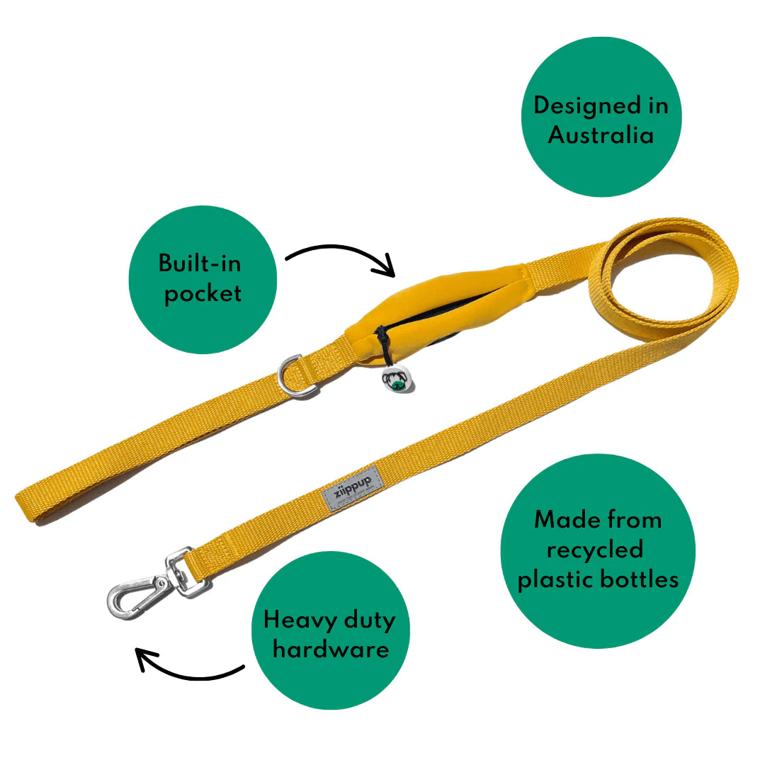 Ziippup  | Yellow Dog Lead with Built in Pocket (BOWRAL)