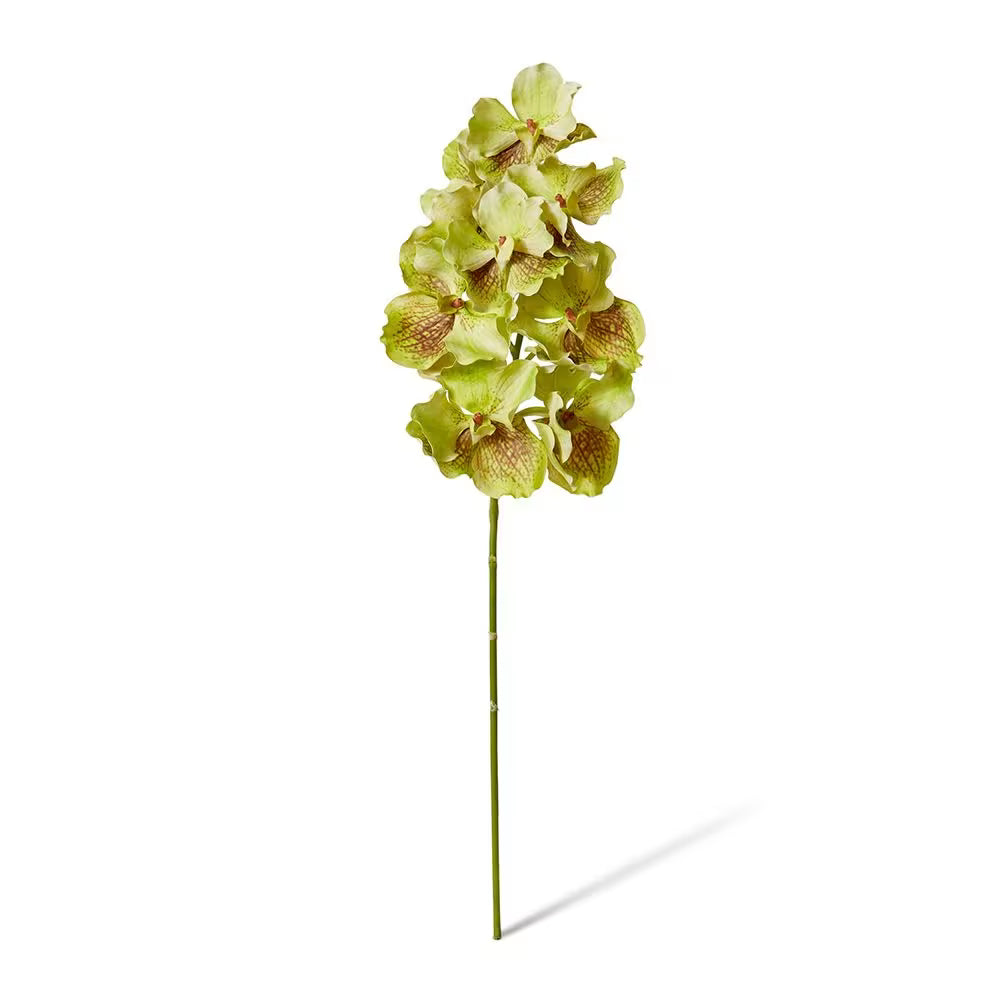 Faux Grand Orchid | Green Brown 71cm