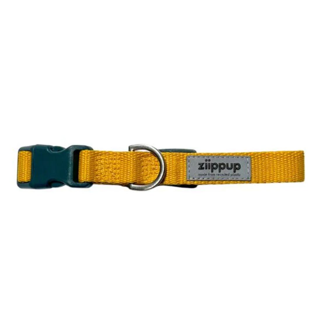 Ziippup | Dog Collar Yellow (BOWRAL) - Suzie Anderson Home