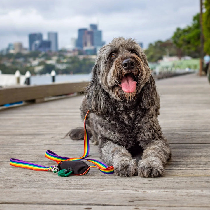 Ziippup | Rainbow Dog Lead with Built in Pocket (BOWRAL) - Suzie Anderson Home