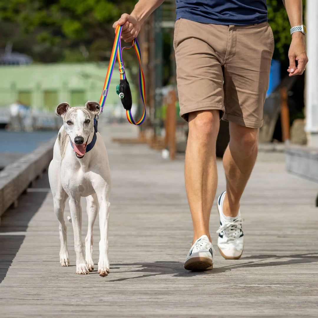 Ziippup | Rainbow Dog Lead with Built in Pocket (BOWRAL) - Suzie Anderson Home